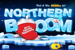 Northern Boom